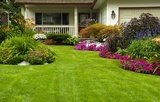 Landscaping and Lawn Care in Tacoma Puyallup Lakewood Fircrest Gig Harbor University Place Washington State - Nasim and Sons